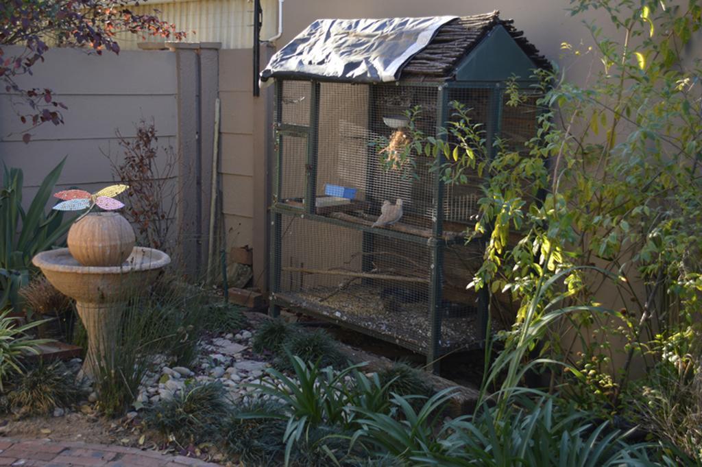 Two Bells Guest House Bloemfontein Exterior photo